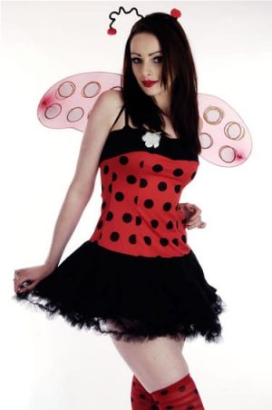 Lady Bug Ladies Fancy Dress Costume