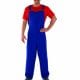 Plumber's Mate Blue/Red (Mario) Mens Fancy Dress Costume
