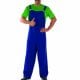 Plumber's Mate Green/Blue (Luigi) Mens Fancy Dress Costume