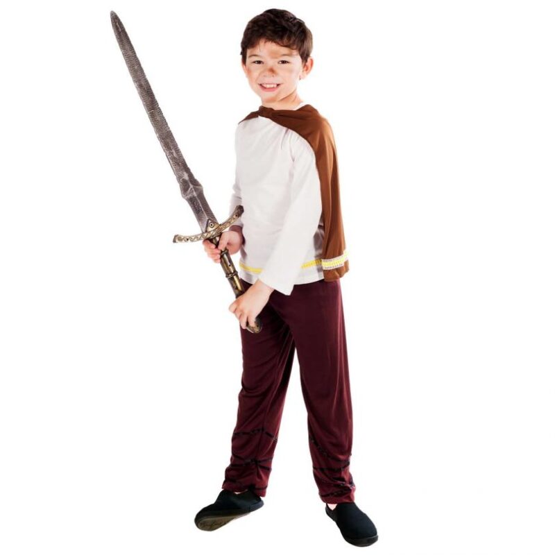 Viking Boy Children's Fancy Dress Costume
