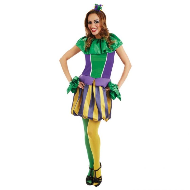 Carnival Jester Ladies Fancy Dress Costume