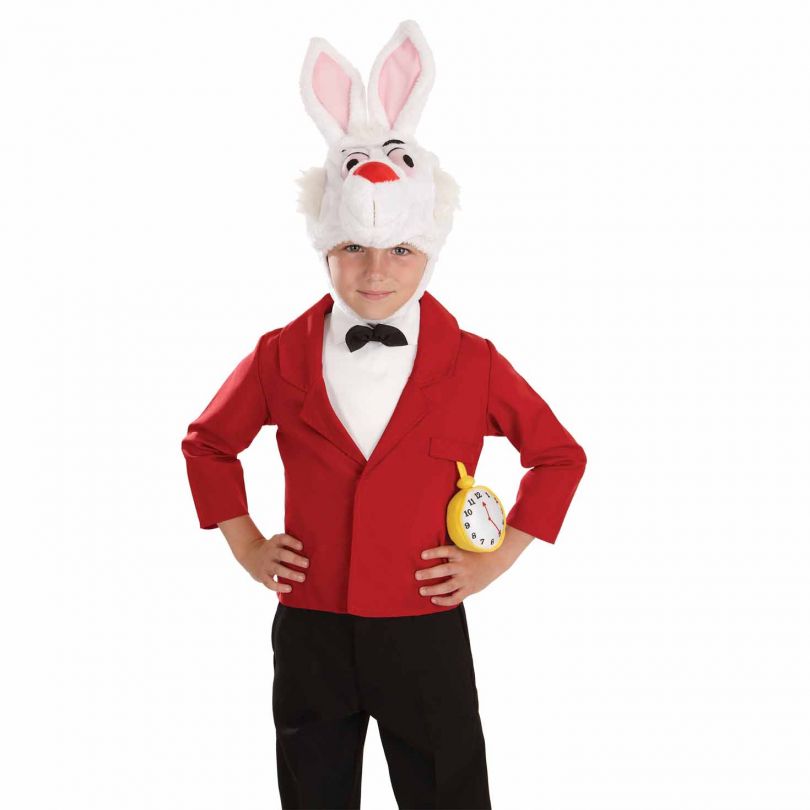 1,720 Rabbit Fancy Dress Images, Stock Photos & Vectors | Shutterstock