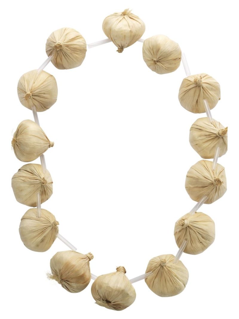 Garlic Garland - Image 2