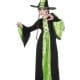Bewitched Green/Black Halloween Childrens Fancy Dress