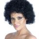 Black Afro Wig