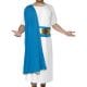 Roman Senator Mens Fancy Dress Costume