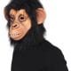 Full Overhead Chimp Mask