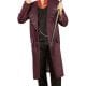 Charlie & The Chocolate Factory Willy Wonka Men's Fancy Dress