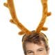 Reindeer Antlers/Stag Night Horns