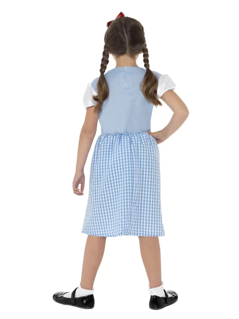 Country Girl (Dorothy) Children's Fancy Dress Costume - Image 3
