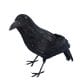Feathered Crow Halloween Decoration
