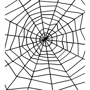 Giant Spider Web with Spider