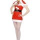 Miss Hot Santa Ladies Christmas Fancy Dress Costume