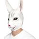 Rabbit Mask