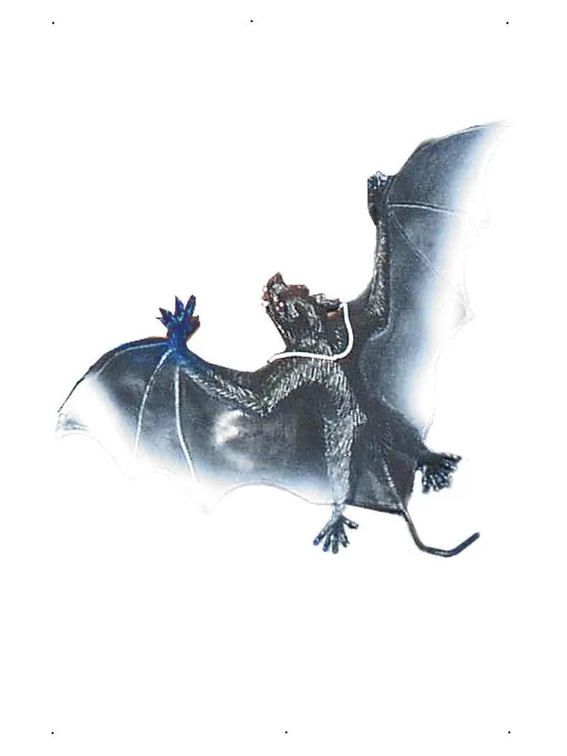 Vampire Bat