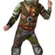 Teenage Mutant Ninja Turtles Deluxe Movie Turtle Children's Fancy Dress Costume