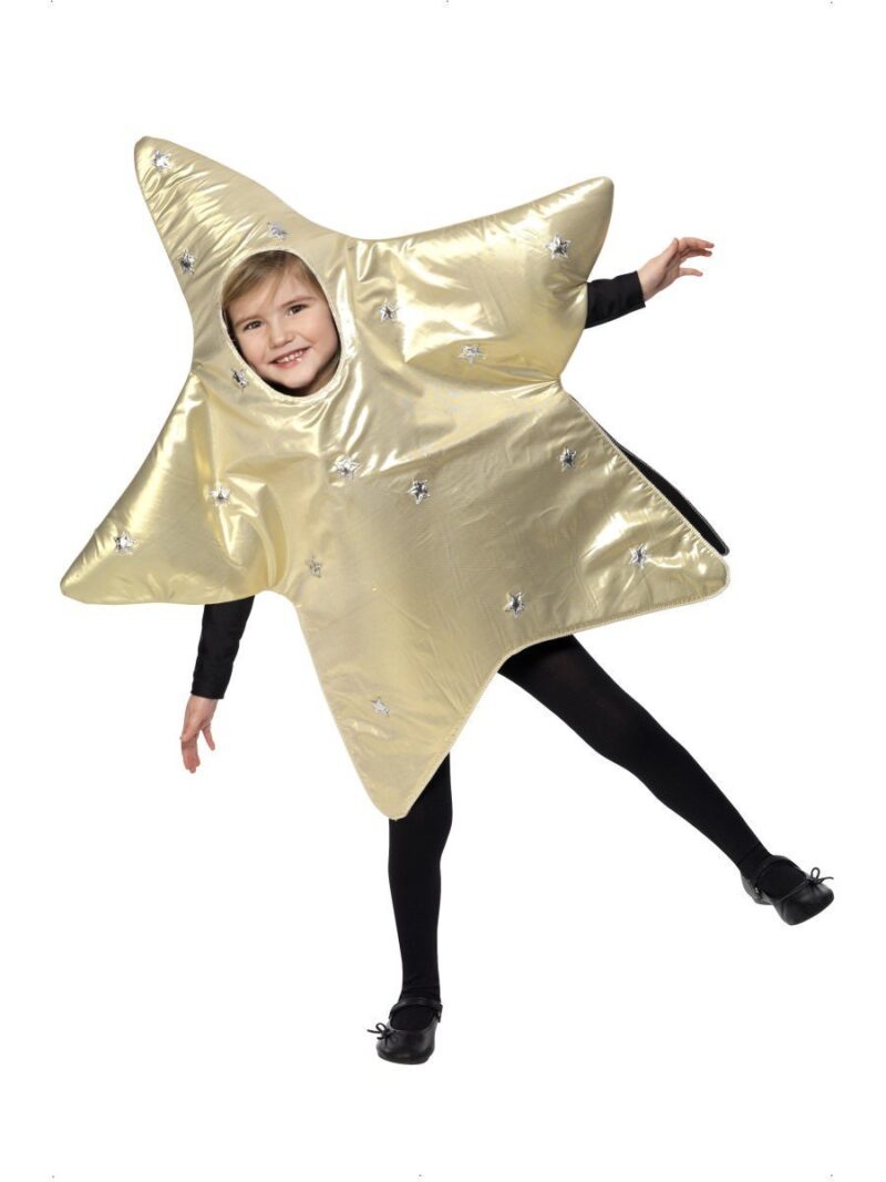 Christmas Star Christmas Fancy Dress Costume