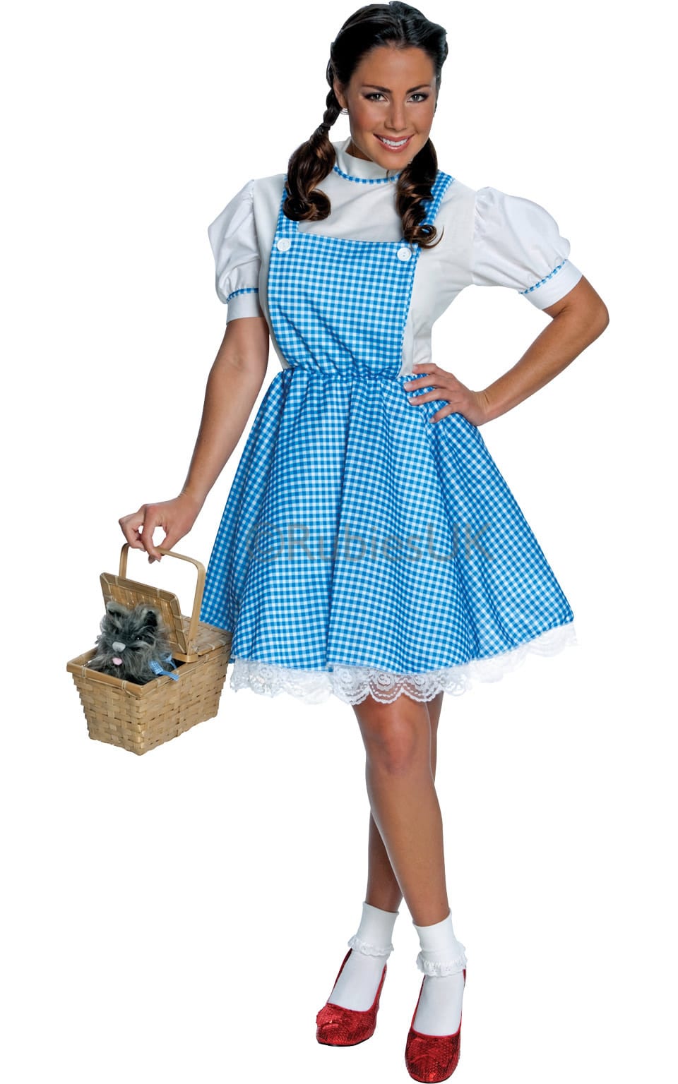 Wizard of Oz Dorothy Ladies Fancy Dress Costume