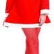 Santa's Sweetie Christmas Ladies Fancy Dress Costume-0
