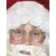Wire Framed Santa Specs