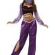Arabian Princess Ladies Fancy Dress Costume