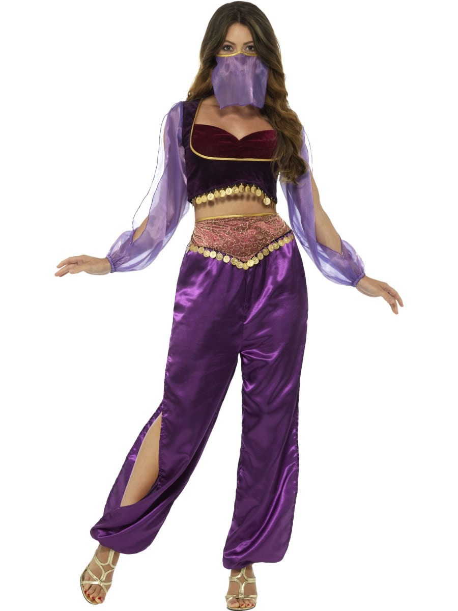 Arabian Princess Ladies Fancy Dress Costume