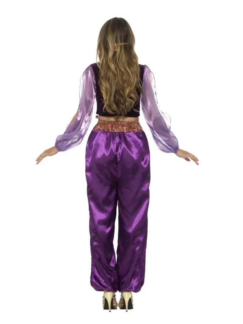 Arabian Princess Ladies Fancy Dress Costume - Image 2