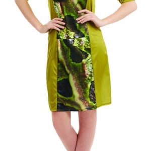 Frog Ladies Fancy Dress Costume