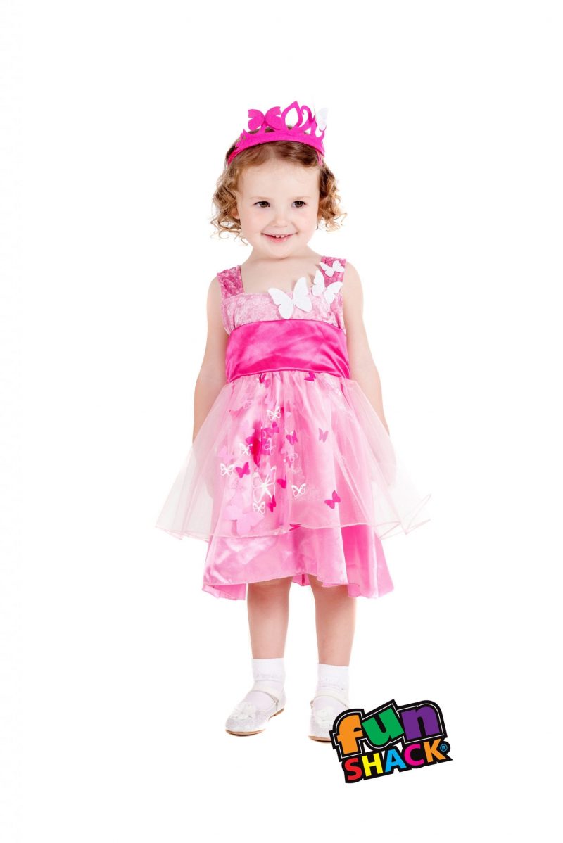 Princess Butterfly Toddler Children's Fancy Dress Costume