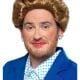 Iron Lady (Prime Minister) Wig