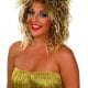 Rock Chick Blonde/Brown Wig