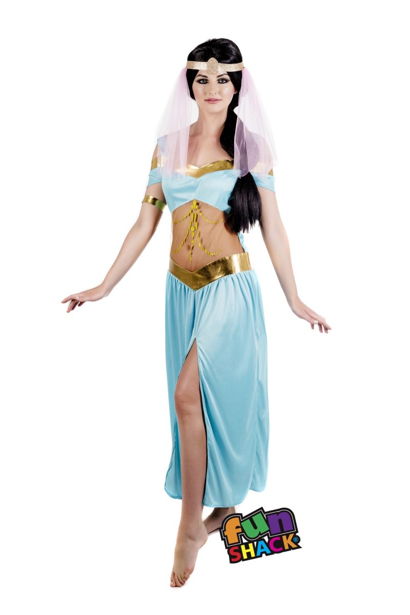 Arabian Princess Ladies Fancy Dress Costume