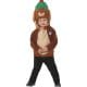 Peter Rabbit Benjamin Bunny Deluxe Children's Fancy Dress Costume