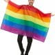 Rainbow Flag Unisex Fancy Dress Costume contains Multi-Coloured Rainbow Flag
