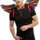 Rainbow Feather Wings