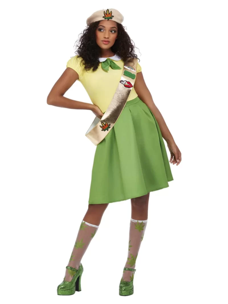 Weed/Pot Brownie Ladies Fancy Dress Costume