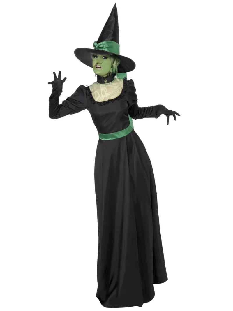 Wicked Witch (Wizard Of Oz) Ladies Fancy Dress Costume