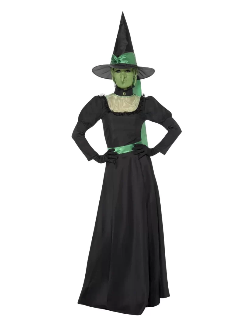 Wicked Witch (Wizard Of Oz) Ladies Fancy Dress Costume - Image 2