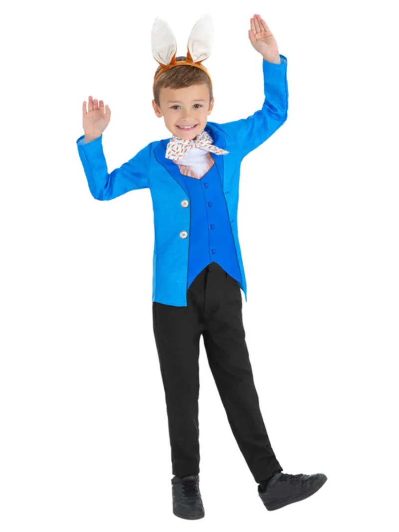 Mr Rabbit Children's Fancy Dress Costume