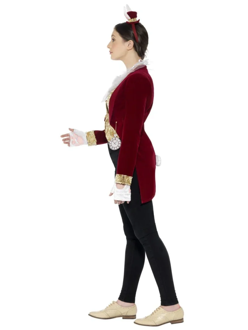 Vintage Rabbit Teen Fancy Dress Costume - Image 2
