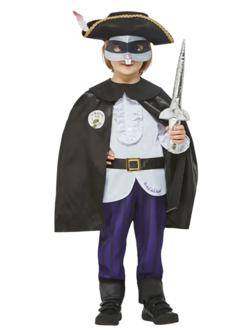 Julia Donaldson The Highway Rat Children's fancy Dress Costume