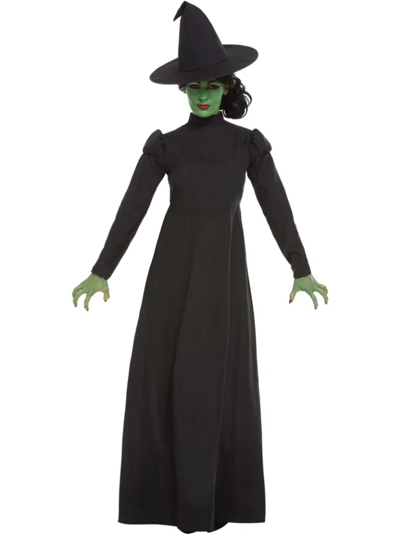 Wicked Witch Halloween Ladies Fancy Dress