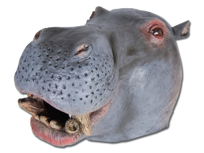 Hippo Latex Mask